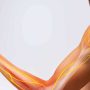 Thoracic Outlet Syndrome - Mayfair Wellness Clinic Gulshan