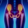 Palvic Floor Dysfunction - Mayfair Wellness Clinic Gulshan