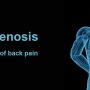 Spbg - Mayfair Wellness Clinic Gulshan